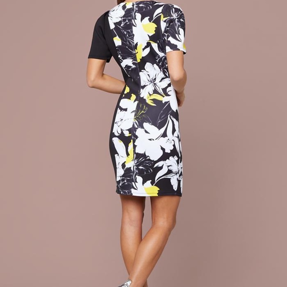 Bebe Print Puff Sleeve Dress - Tulip Fluffy Dark